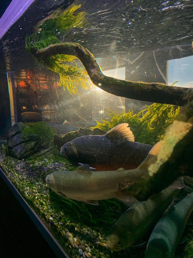 Norsk Havbrukssenter - Rorbuer Hotel Brønnøysund Kültér fotó