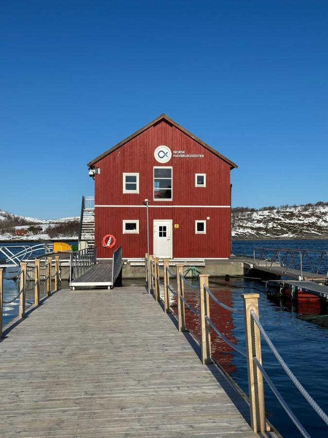 Norsk Havbrukssenter - Rorbuer Hotel Brønnøysund Kültér fotó